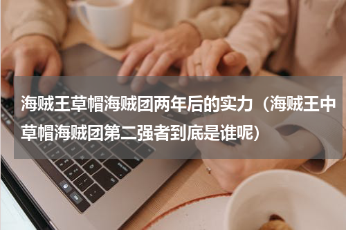 海贼王草帽海贼团两年后的实力（海贼王中草帽海贼团第二强者到底是谁呢）