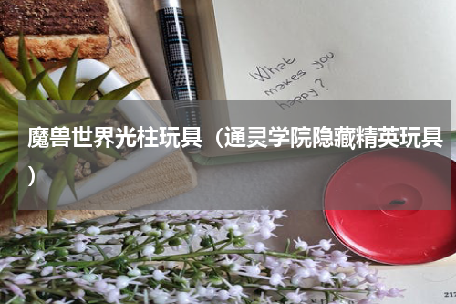 魔兽世界光柱玩具（通灵学院隐藏精英玩具）