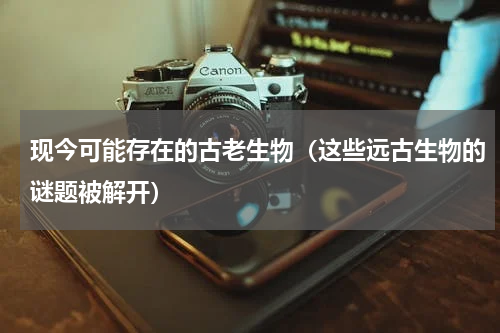 现今可能存在的古老生物（这些远古生物的谜题被解开）
