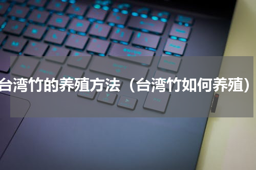 台湾竹的养殖方法（台湾竹如何养殖）