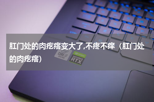 肛门处的肉疙瘩变大了,不疼不痒（肛门处的肉疙瘩）