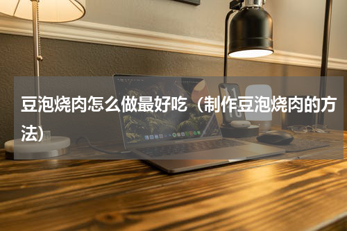 豆泡烧肉怎么做最好吃（制作豆泡烧肉的方法）