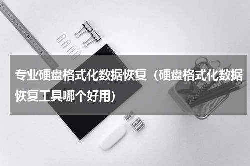 专业硬盘格式化数据恢复（硬盘格式化数据恢复工具哪个好用）