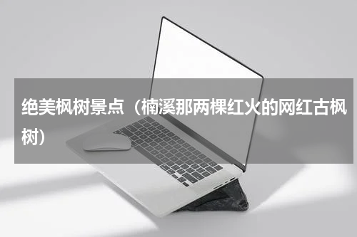 绝美枫树景点（楠溪那两棵红火的网红古枫树）