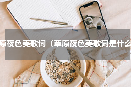 草原夜色美歌词（草原夜色美歌词是什么）
