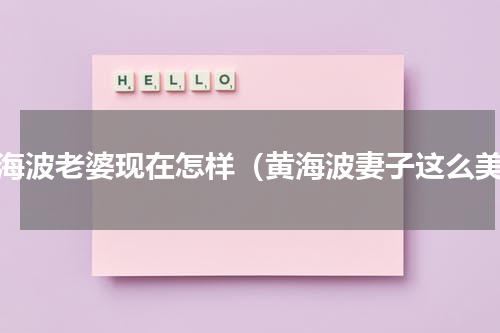 黄海波老婆现在怎样（黄海波妻子这么美）