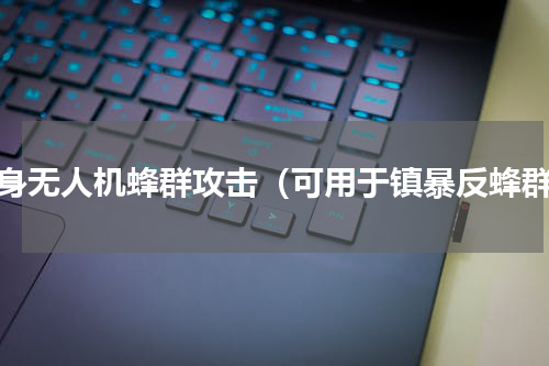 隐身无人机蜂群攻击（可用于镇暴反蜂群）