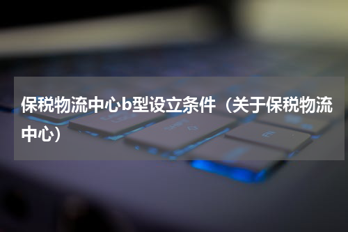 保税物流中心b型设立条件（关于保税物流中心）