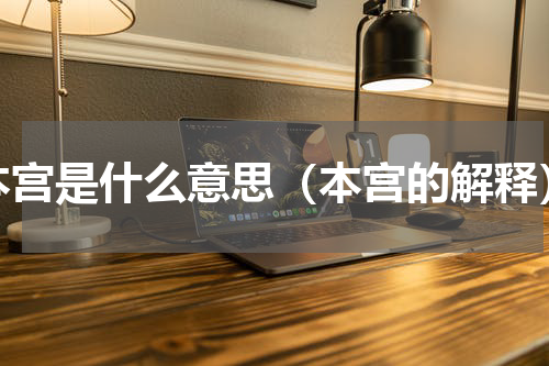 本宫是什么意思（本宫的解释）