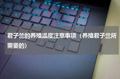 君子兰的养殖温度注意事项（养殖君子兰所需要的）