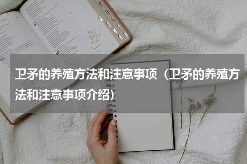 卫矛的养殖方法和注意事项（卫矛的养殖方法和注意事项介绍）