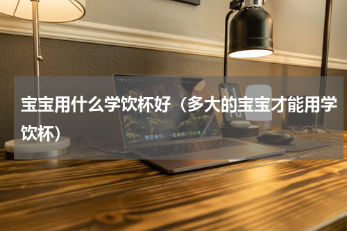 宝宝用什么学饮杯好（多大的宝宝才能用学饮杯）