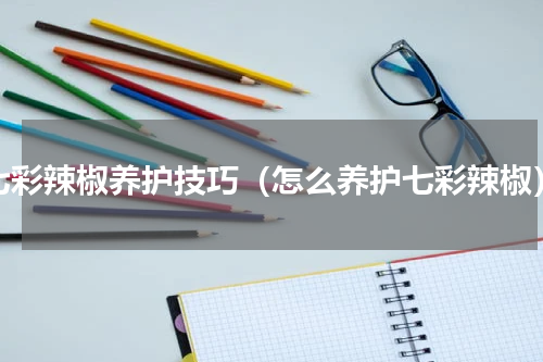 七彩辣椒养护技巧（怎么养护七彩辣椒）