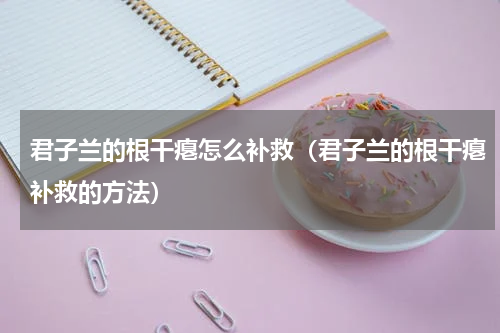 君子兰的根干瘪怎么补救（君子兰的根干瘪补救的方法）
