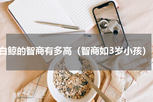 白鲸的智商有多高（智商如3岁小孩）