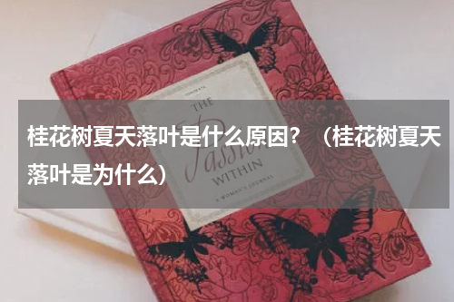 桂花树夏天落叶是什么原因？（桂花树夏天落叶是为什么）