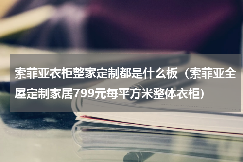 索菲亚衣柜整家定制都是什么板（索菲亚全屋定制家居799元每平方米整体衣柜）