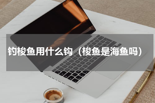 钓梭鱼用什么钩（梭鱼是海鱼吗）