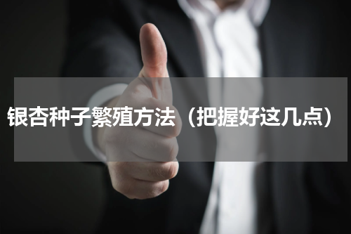 银杏种子繁殖方法（把握好这几点）