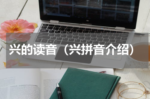 兴的读音（兴拼音介绍）