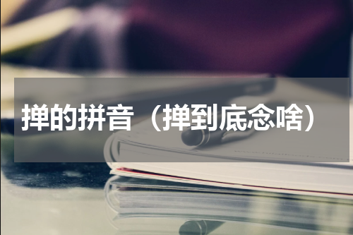 掸的拼音（掸到底念啥）