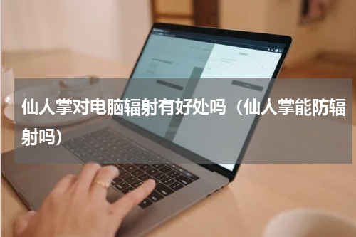 仙人掌对电脑辐射有好处吗（仙人掌能防辐射吗）