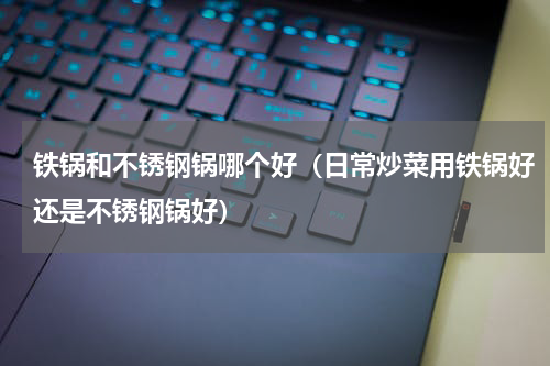 铁锅和不锈钢锅哪个好（日常炒菜用铁锅好还是不锈钢锅好）
