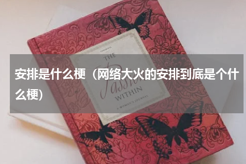 安排是什么梗（网络大火的安排到底是个什么梗）