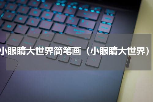 小眼睛大世界简笔画（小眼睛大世界）