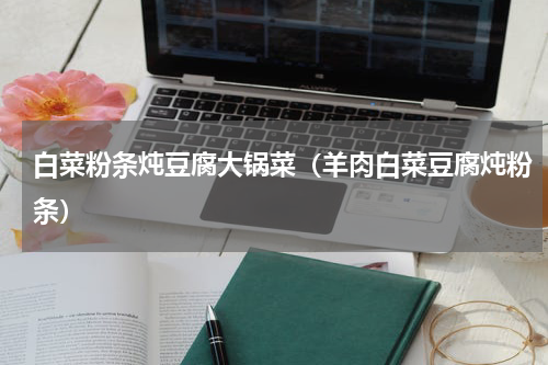 白菜粉条炖豆腐大锅菜（羊肉白菜豆腐炖粉条）