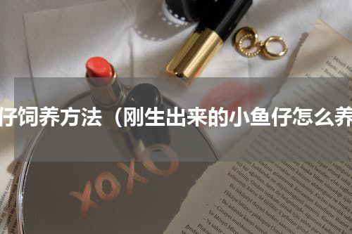 鱼仔饲养方法（刚生出来的小鱼仔怎么养）