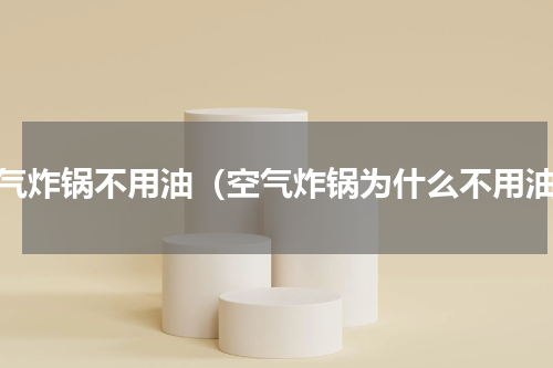 空气炸锅不用油（空气炸锅为什么不用油）