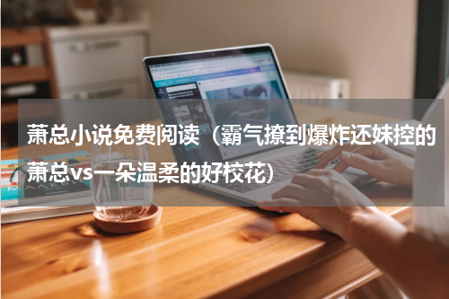 萧总小说免费阅读（霸气撩到爆炸还妹控的萧总vs一朵温柔的好校花）