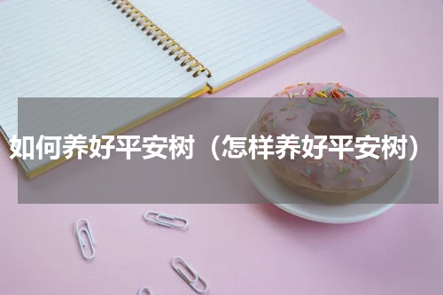如何养好平安树（怎样养好平安树）