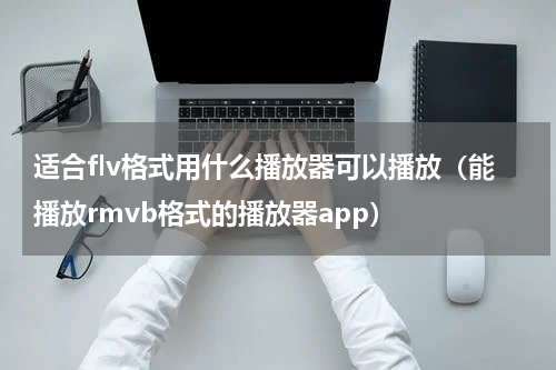 适合flv格式用什么播放器可以播放（能播放rmvb格式的播放器app）