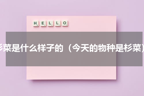 杉菜是什么样子的（今天的物种是杉菜）
