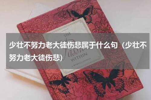 少壮不努力老大徒伤悲属于什么句（少壮不努力老大徒伤悲）