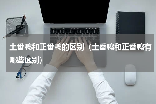 土番鸭和正番鸭的区别（土番鸭和正番鸭有哪些区别）
