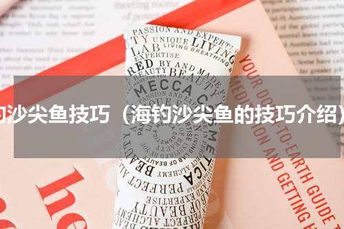 钓沙尖鱼技巧（海钓沙尖鱼的技巧介绍）