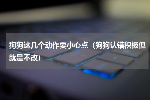 狗狗这几个动作要小心点（狗狗认错积极但就是不改）