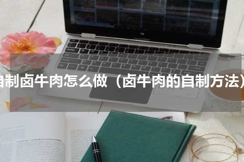 自制卤牛肉怎么做（卤牛肉的自制方法）