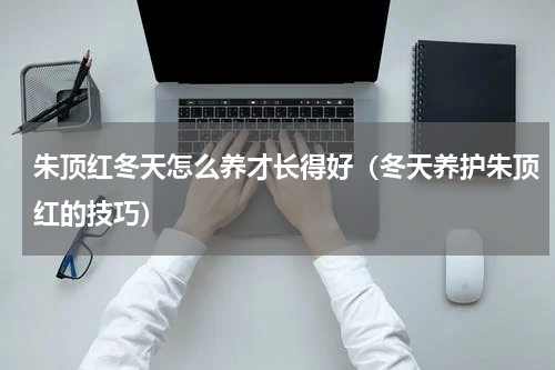 朱顶红冬天怎么养才长得好（冬天养护朱顶红的技巧）