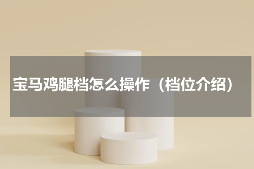 宝马鸡腿档怎么操作（档位介绍）