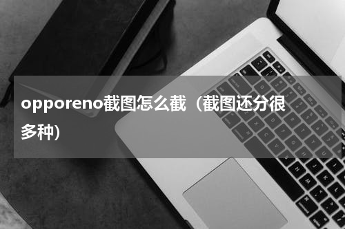opporeno截图怎么截（截图还分很多种）