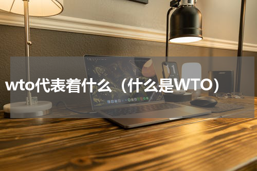 wto代表着什么（什么是WTO）