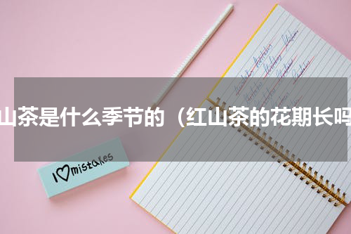 红山茶是什么季节的（红山茶的花期长吗）