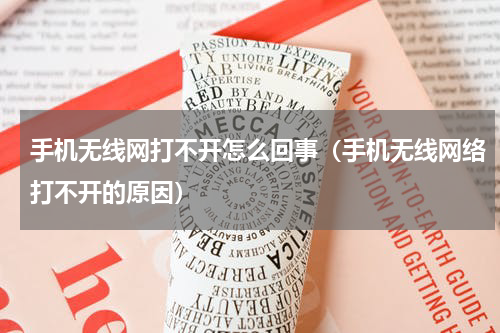 手机无线网打不开怎么回事（手机无线网络打不开的原因）