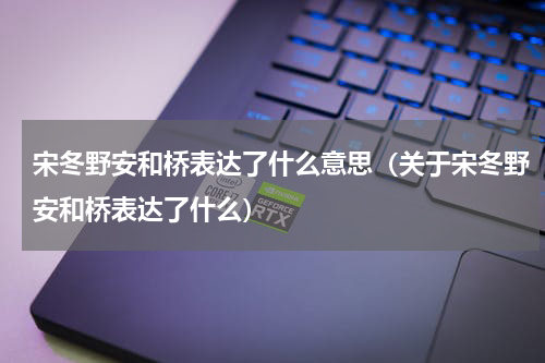 宋冬野安和桥表达了什么意思（关于宋冬野安和桥表达了什么）