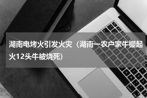 湖南电烤火引发火灾（湖南一农户家牛棚起火12头牛被烧死）