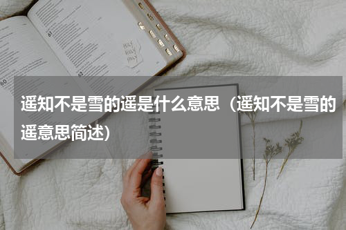 遥知不是雪的遥是什么意思（遥知不是雪的遥意思简述）